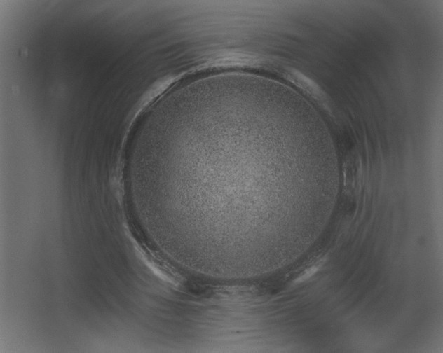 X0000068280436200604211115