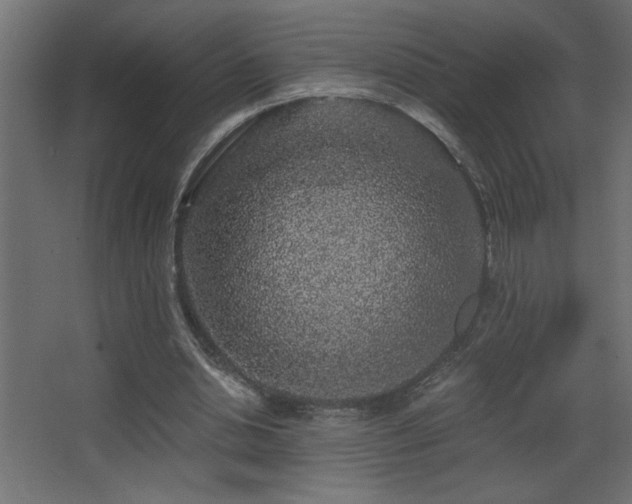 X0000068280438200604211115