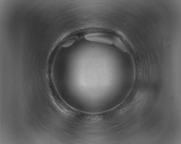 X0000068280443200604211115