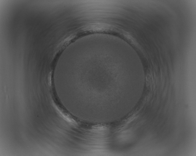 X0000068280454200604211115