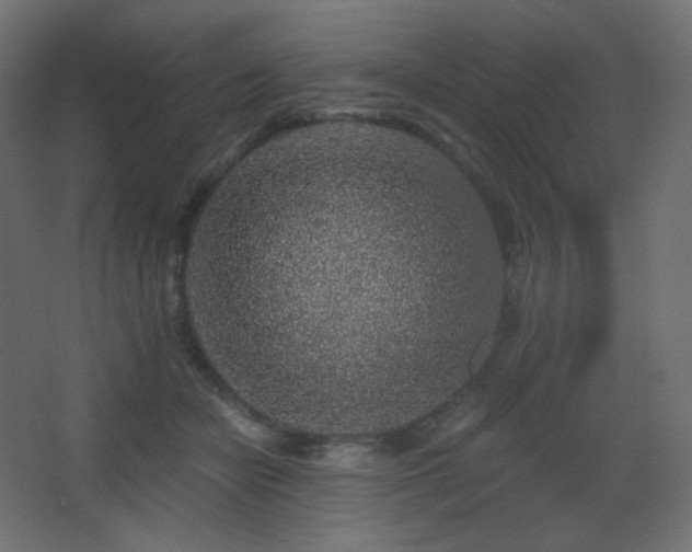 X0000068280462200604211115