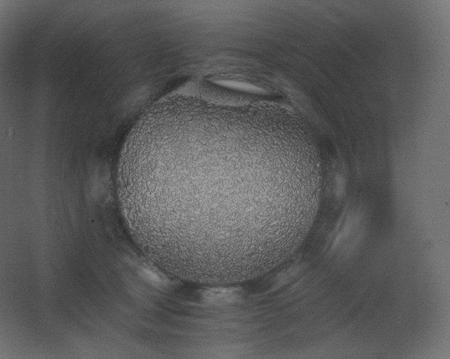 X0000068280465200604211115