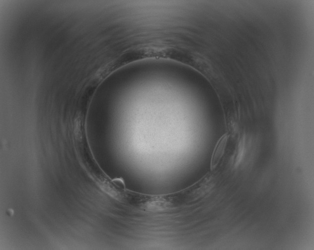 X0000068280468200604211116