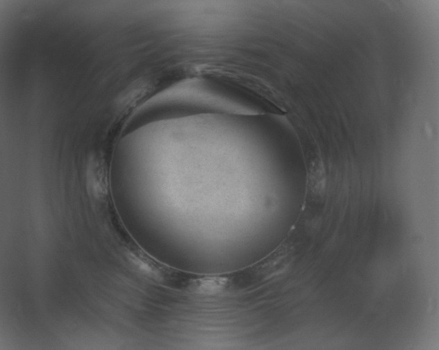 X0000068280474200604211116