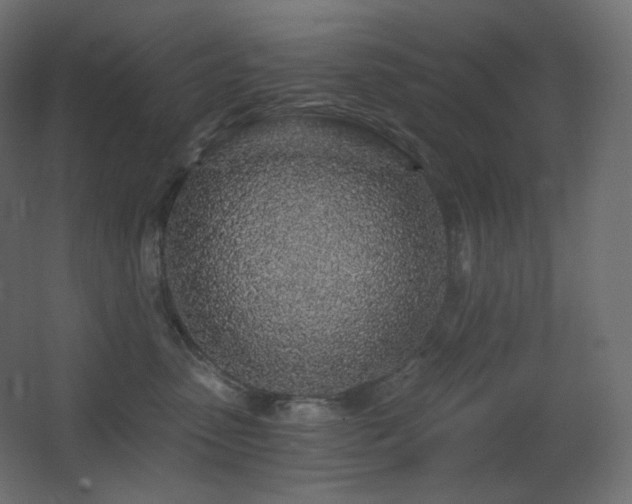 X0000068280475200604211116