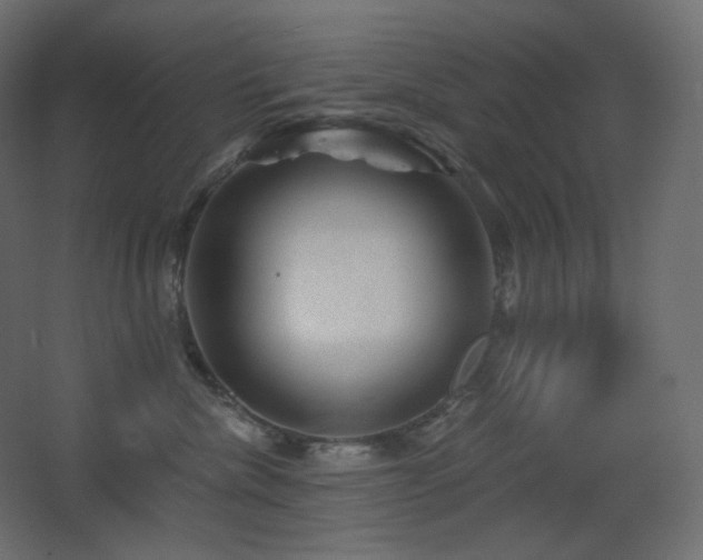 X0000068280476200604211116