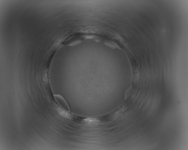 X0000068280477200604211116