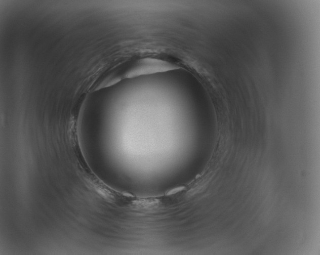 X0000068280480200604211116