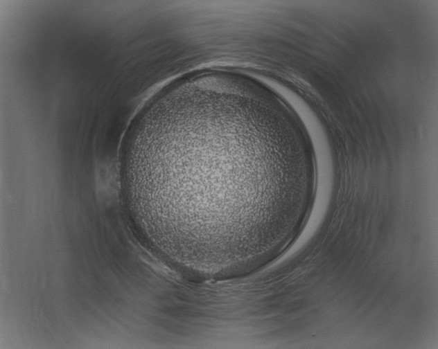 X0000068280484200604211115
