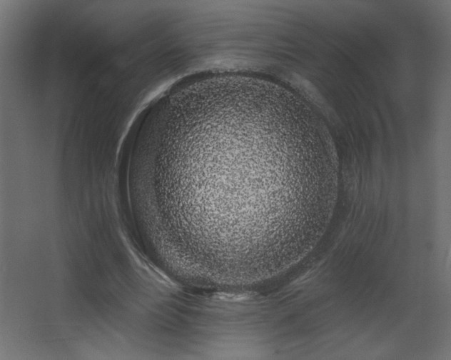 X0000068280488200604211115