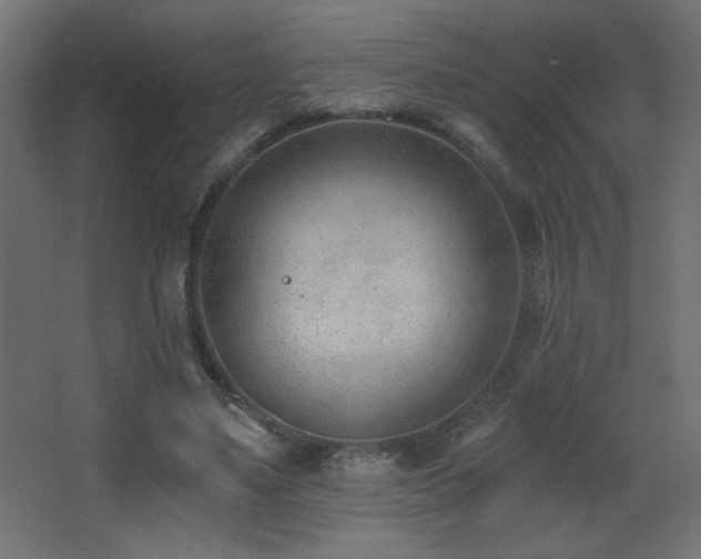 X0000068280491200604211115
