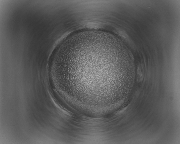 X0000068280492200604211115