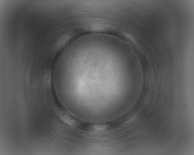 X0000068280495200604211115