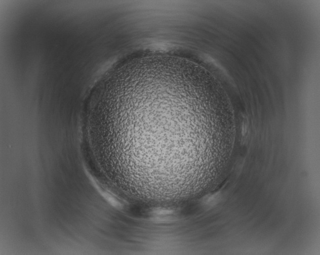 X0000068280496200604211115