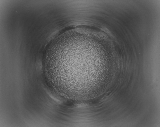 X0000068280500200604211115