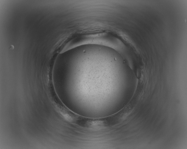 X0000068280501200604211115