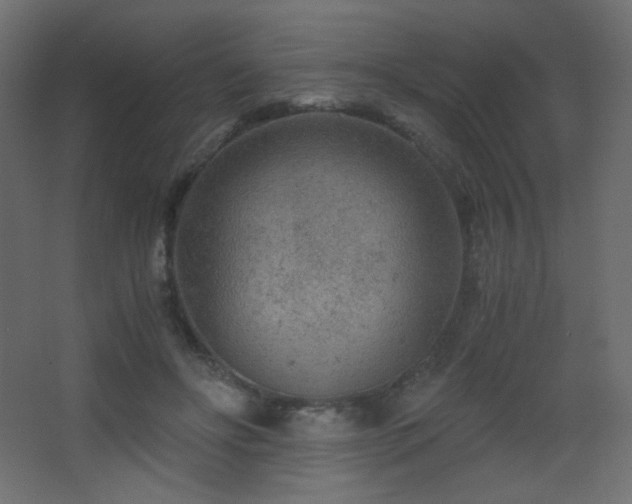 X0000068280502200604211115