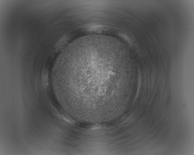 X0000068280504200604211115