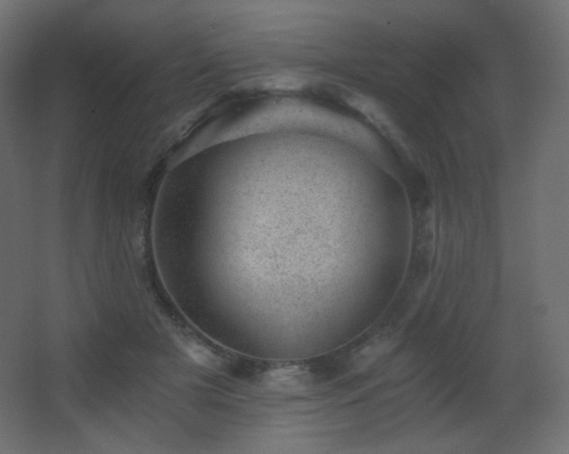 X0000068280505200604211114