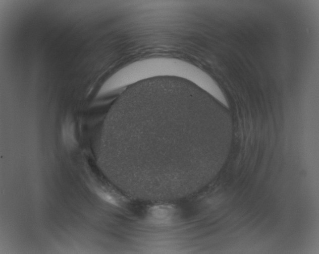 X0000068280508200604211114