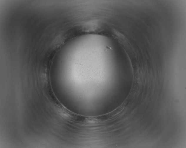 X0000068280510200604211114