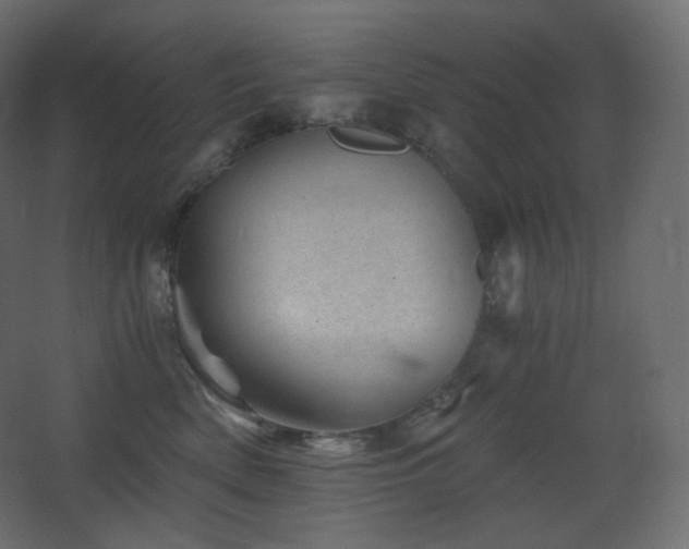 X0000068280522200604211114