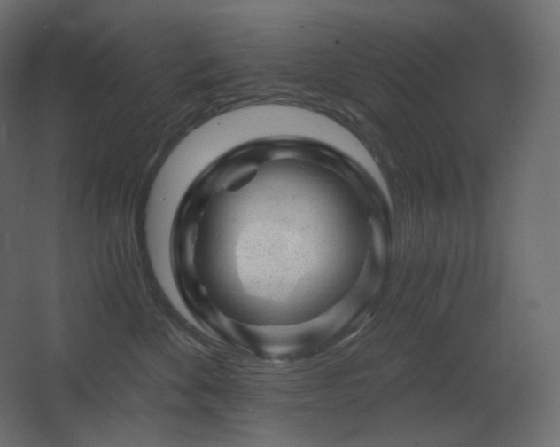 X0000068280524200604211114