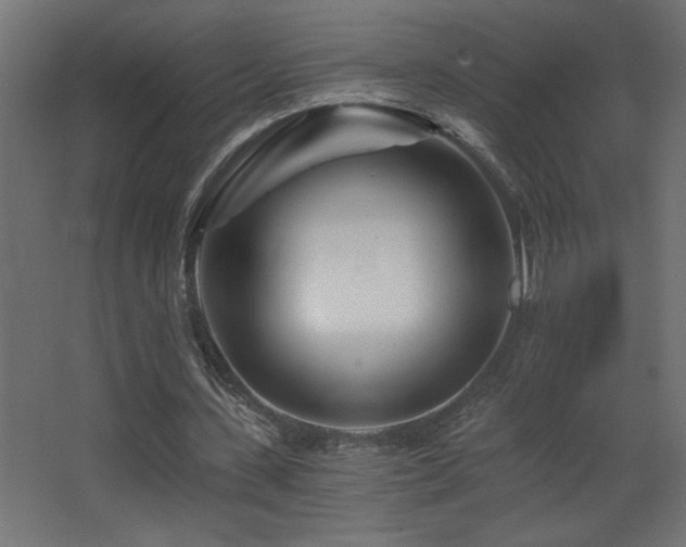 X0000068280531200604211113