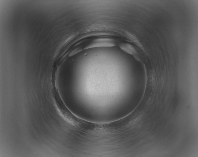 X0000068280538200604211113