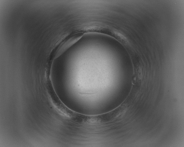 X0000068280546200604211114