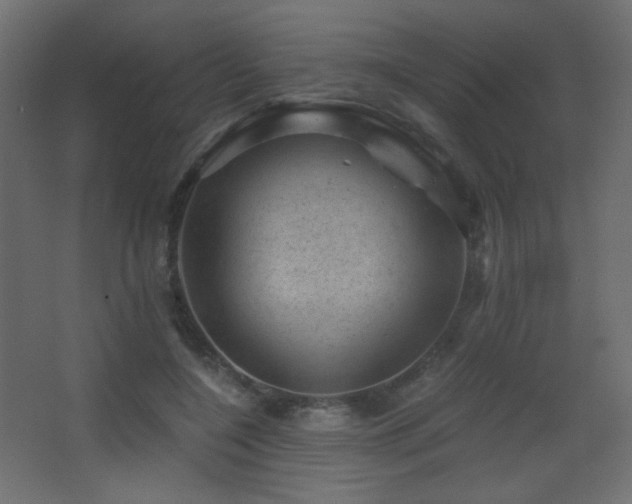 X0000068280548200604211114
