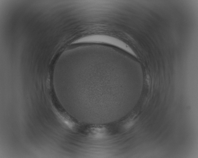 X0000068280552200604211114