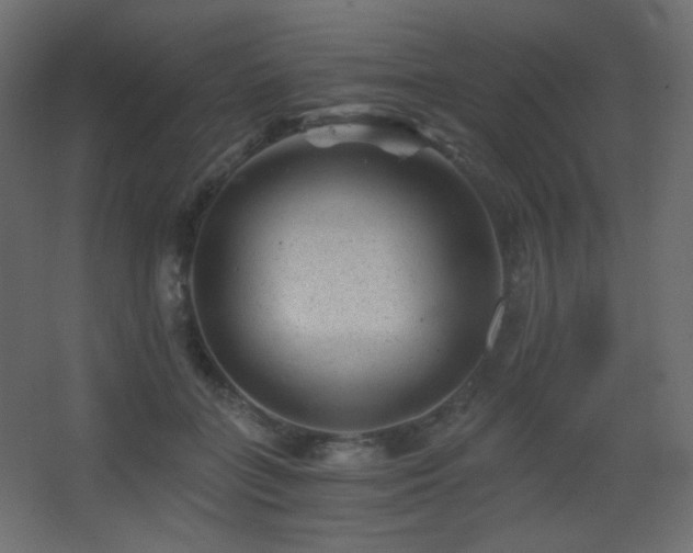 X0000068280555200604211114