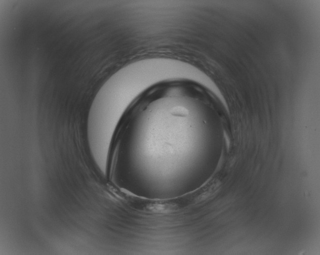 X0000068280558200604211114