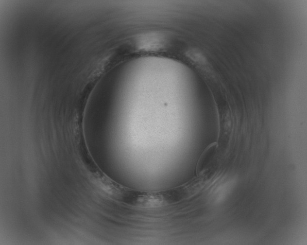 X0000068280559200604211114