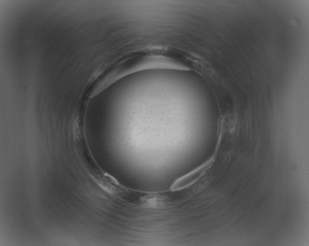 X0000068280564200604211114
