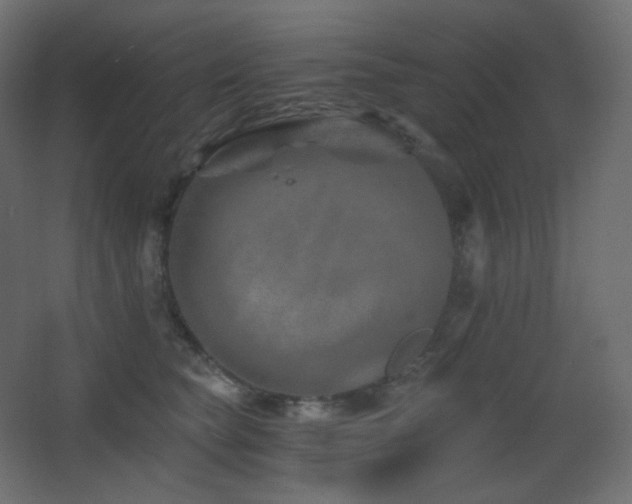 X0000068280565200604211114