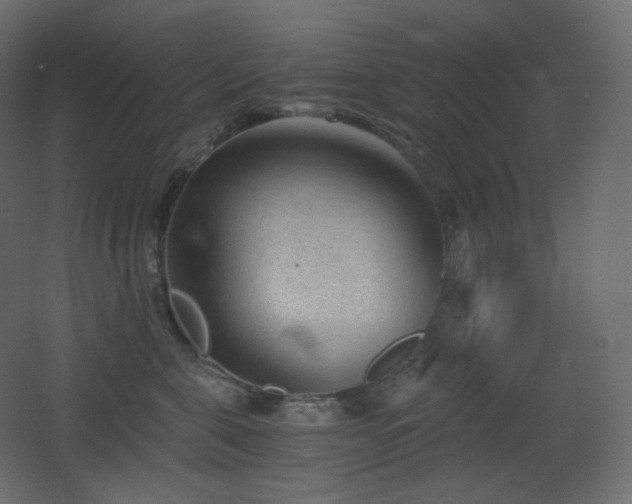 X0000068280571200604211114