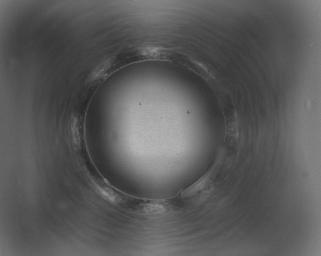 X0000068280572200604211114