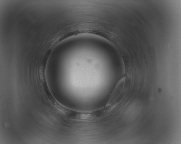 X0000068280575200604211114