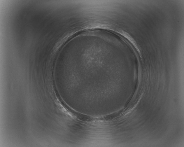 X0000068280577200604211113