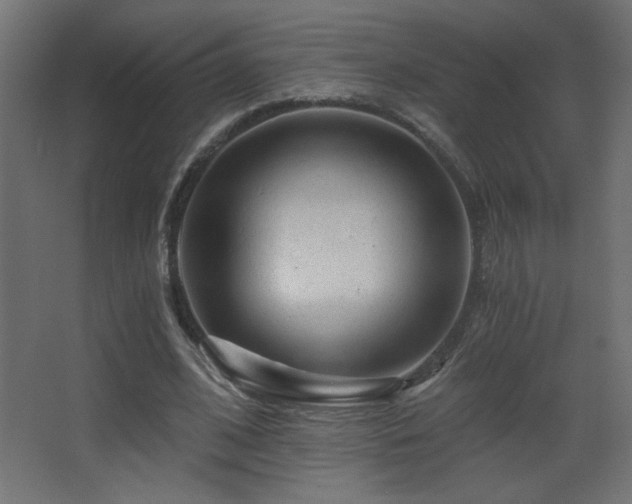 X0000068280584200604211113