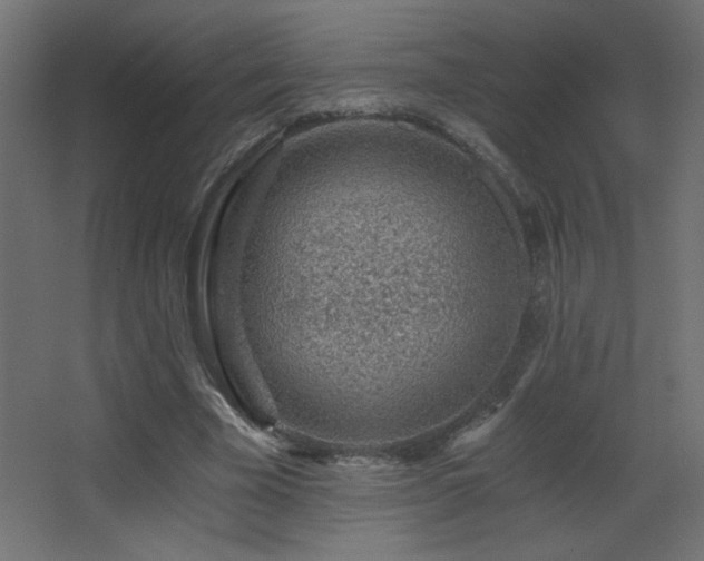 X0000068280585200604211113