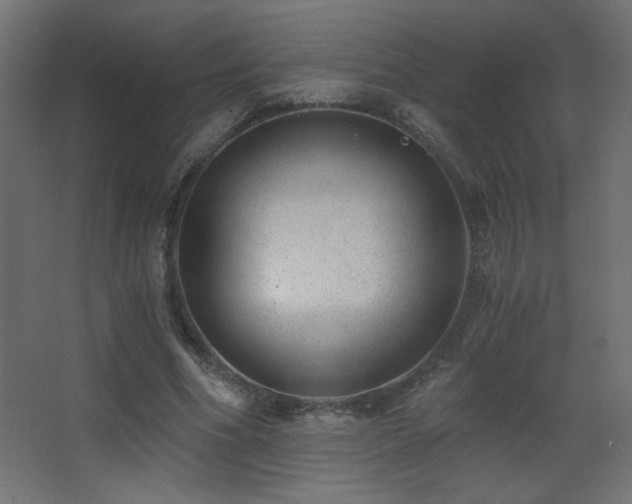 X0000068280586200604211113