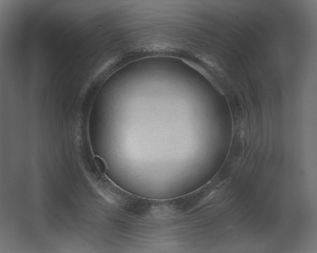 X0000068280591200604211113