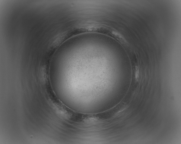 X0000068280594200604211113