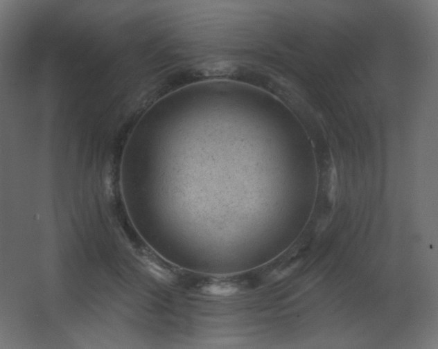 X0000068280604200604211113