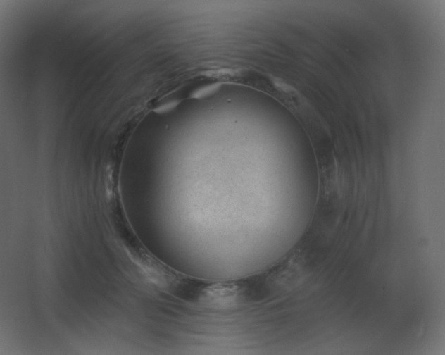 X0000068280606200604211113