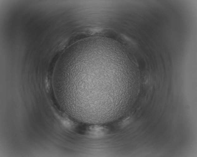 X0000068280607200604211113