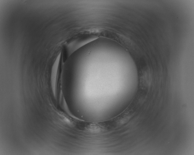 X0000068280608200604211113